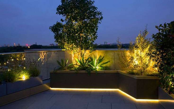 Beautify The Garden