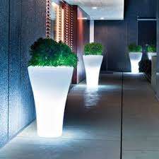 Inside Closet Or Planter